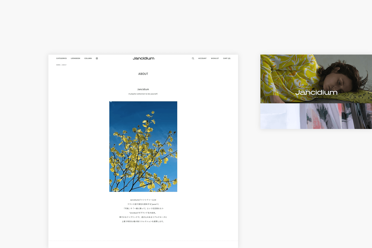 Jancidium　ECサイトの制作実績　ABOUTページ画像
