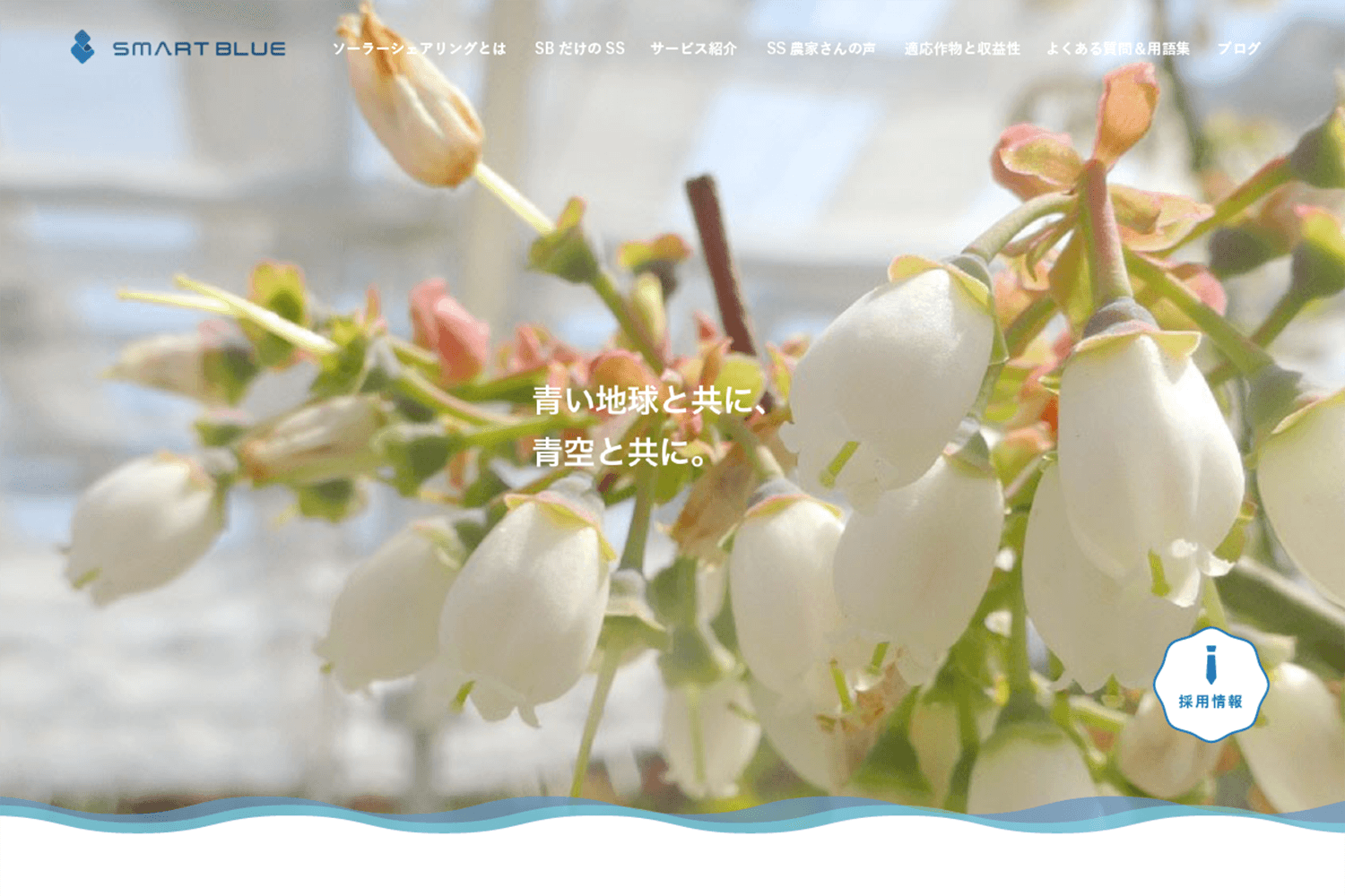 スマートブルー株式会社　サービスサイト