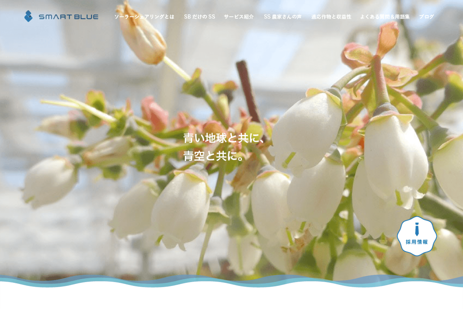 スマートブルー株式会社　サービスサイトの制作実績　サムネイル画像