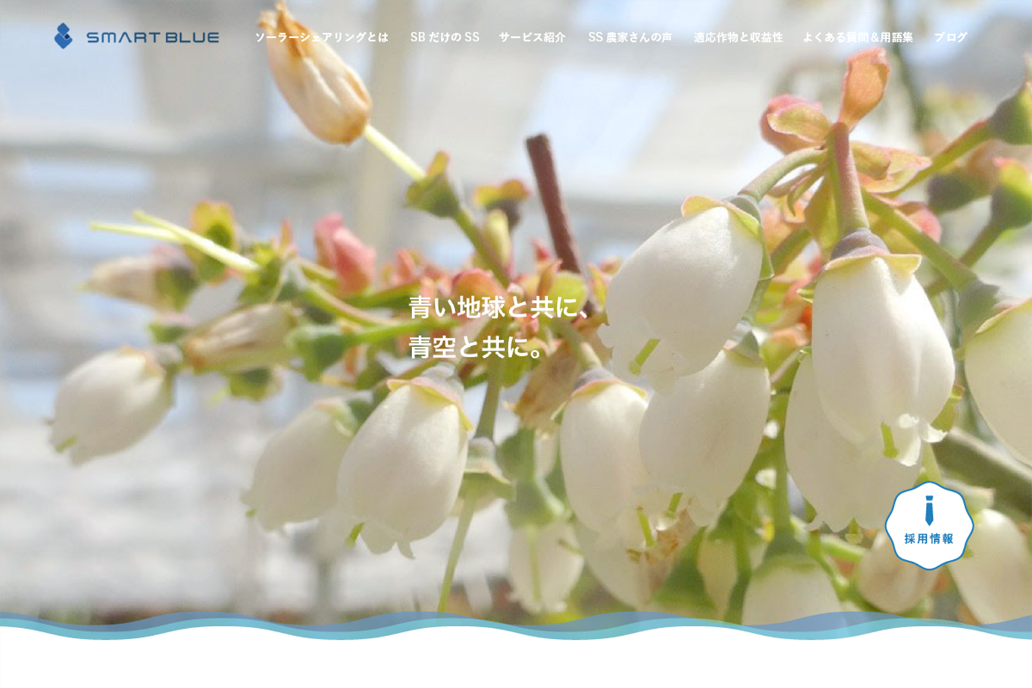 スマートブルー株式会社　サービスサイト