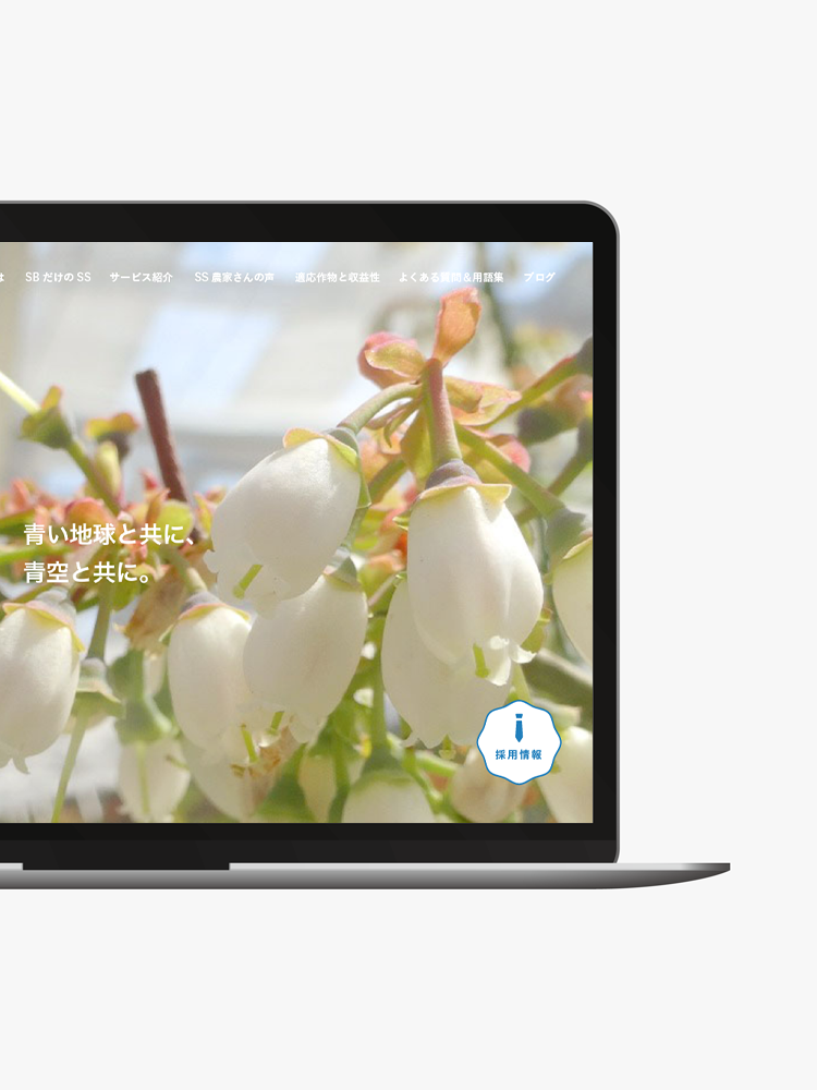 スマートブルー株式会社　サービスサイト