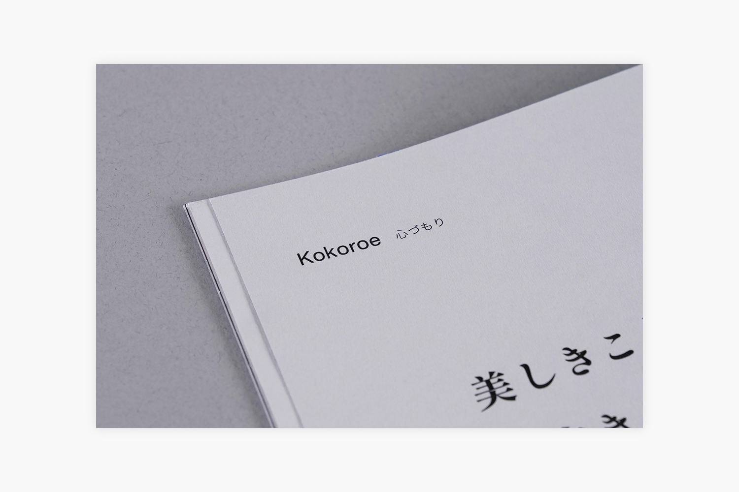 あんどぷらす　ビジョンブックの心づもり掲載ページ